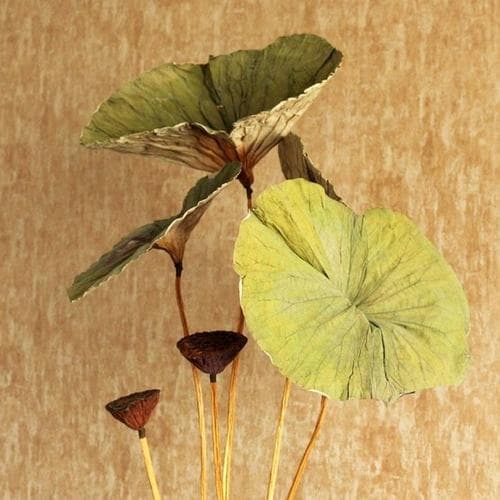 正念冥想工作坊
